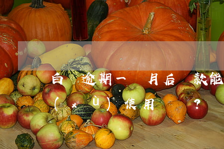 白條逾期一個月后還款，能否全額付款并繼續(xù)使用？